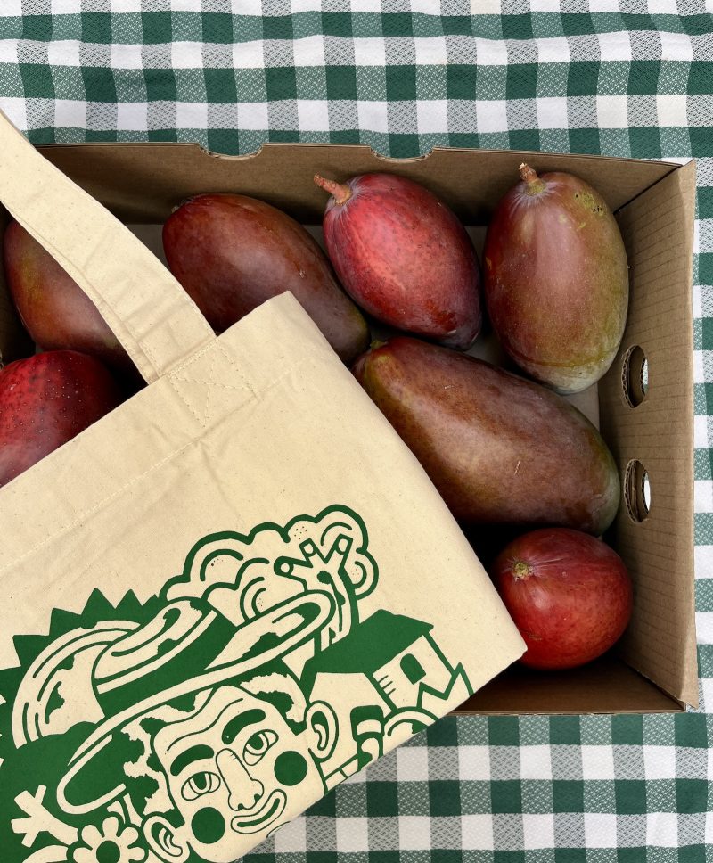 Arraigo Club Mango + Shopper - Imagen 4