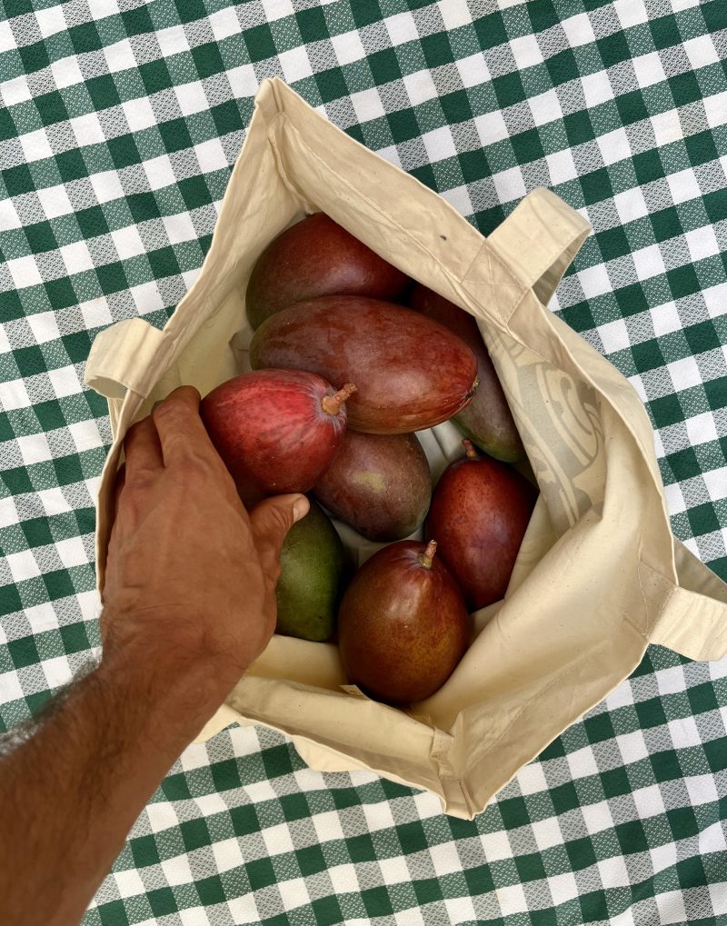 Arraigo Club Mango + Shopper